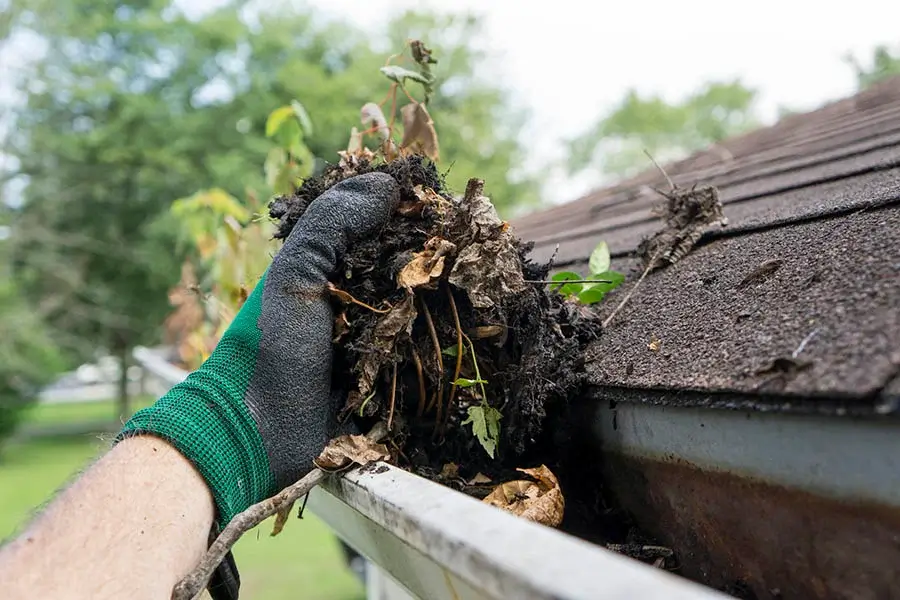The Benefits of Professional Gutter Cleaning for Roof Health Saint Louis, MO